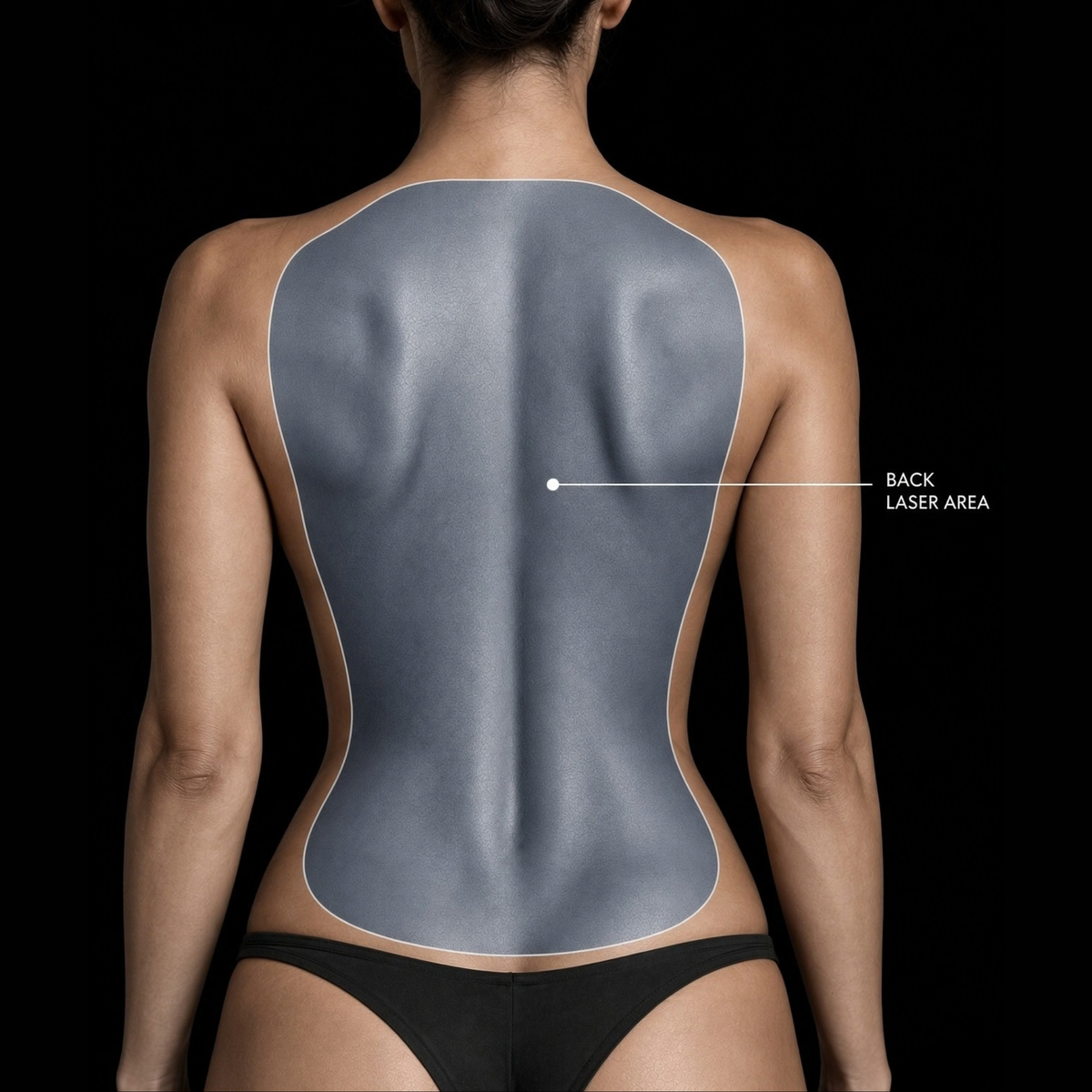 Full Back