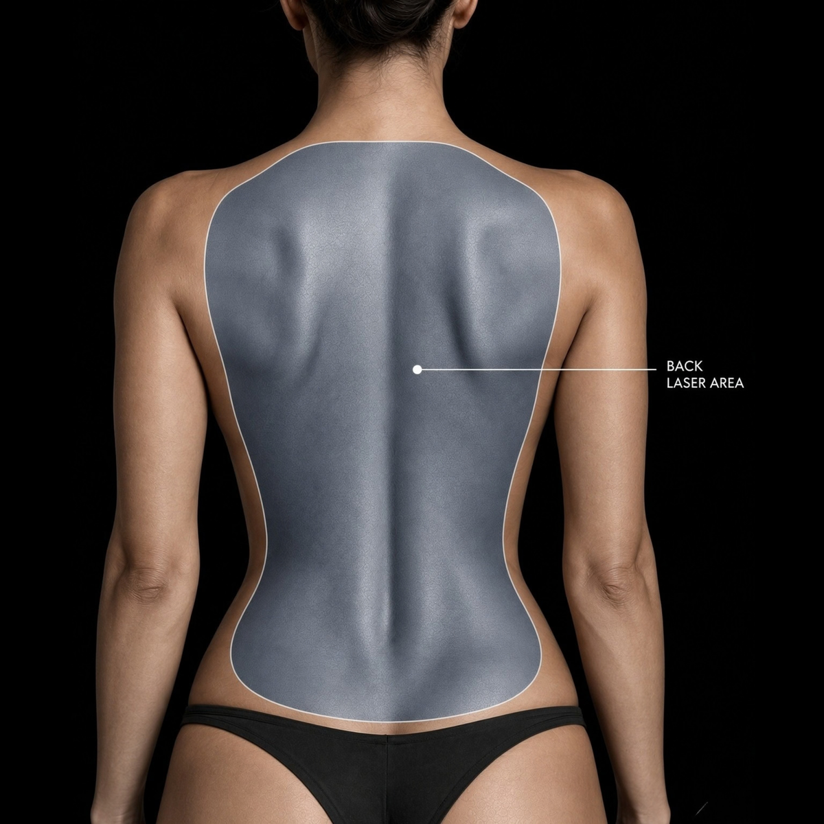 Full Back
